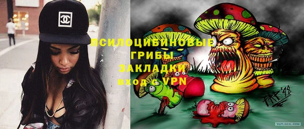 трава Абаза