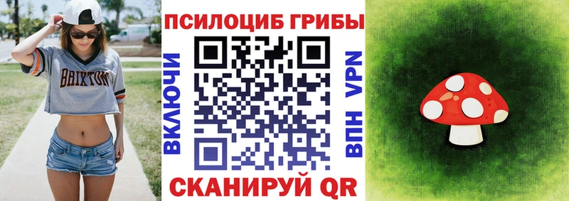 Псилоцибиновые грибы прущие грибы  Новотроицк 