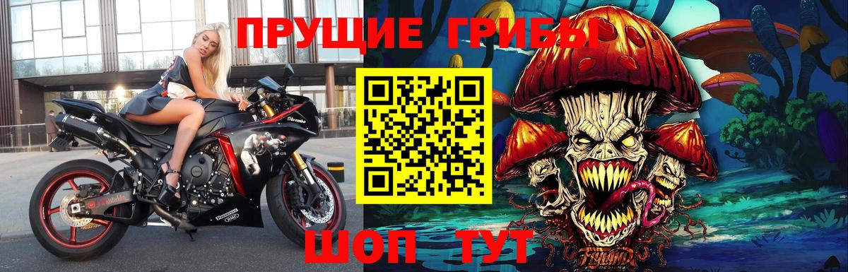 Псилоцибиновые грибы прущие грибы Новотроицк