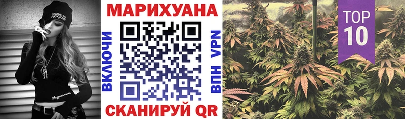 как найти наркотики Новотроицк Шишки марихуана тримм